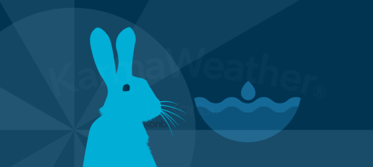 Water Rabbit #39 s Chinese calendar (1963 2023)