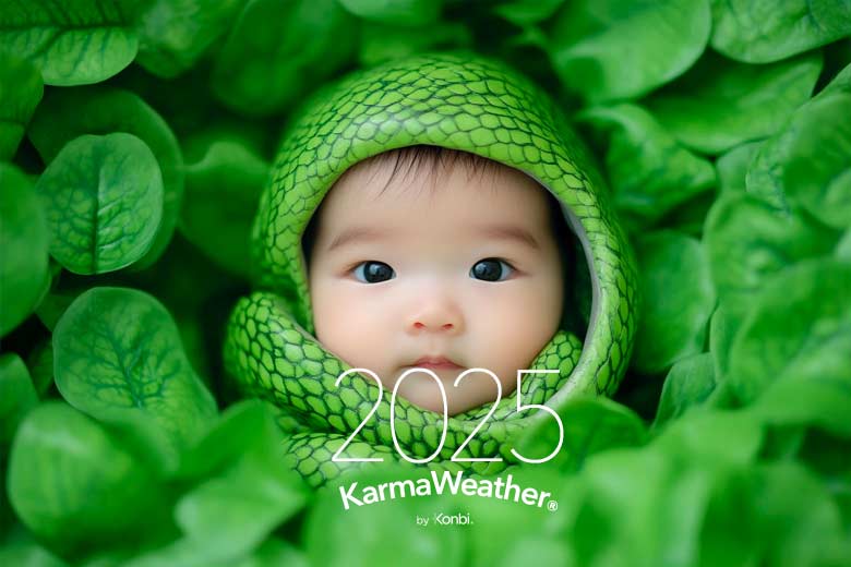 Chinese Zodiac Baby Names 2025