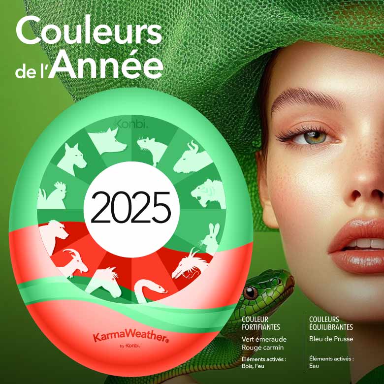 Couleur de l'année 2025